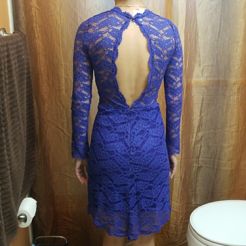 Nwt alexis dress royal lace